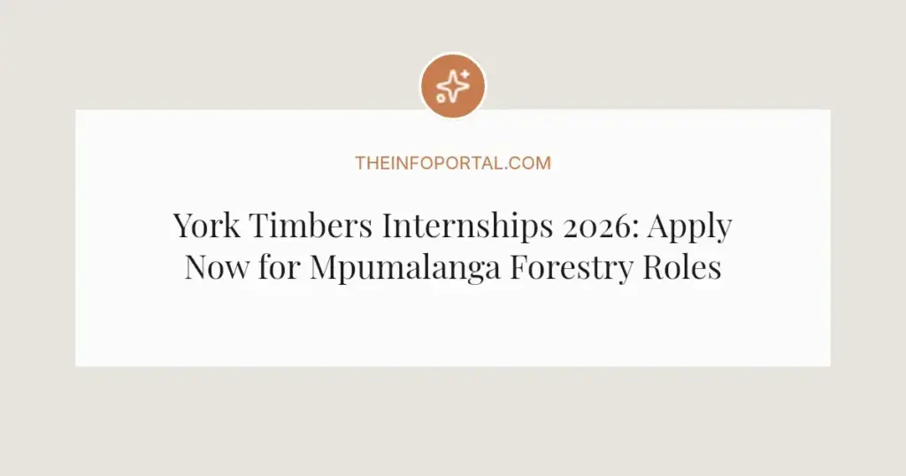 York Timbers Internships 2026: Apply Now for Mpumalanga Forestry Roles
